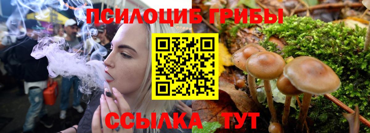 Новоалександровск  Галлюциногенные грибы Magic Shrooms  Галлюциногенные грибы ЛСД  Вход с VPN 