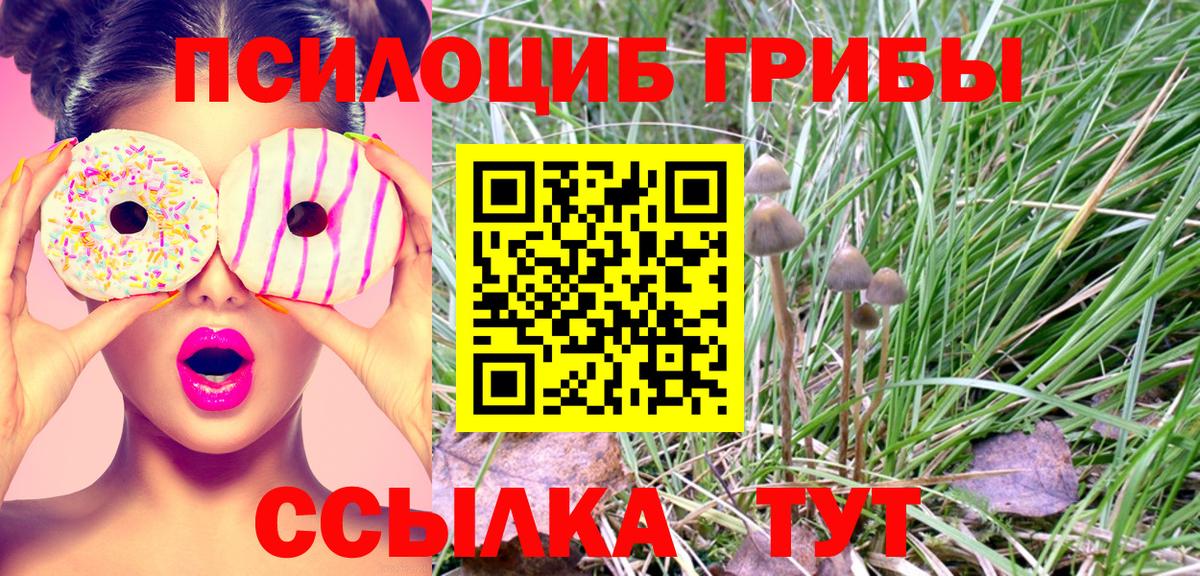 Псилоцибиновые грибы прущие грибы Новоалександровск